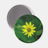 Hot Springs Nationalpark Waldland Sonnenblumengesc Magnet (Vorderseite/Rückseite)