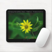 Hot Springs Nationalpark Waldland Sonnenblumengesc Mousepad (Mit Mouse)