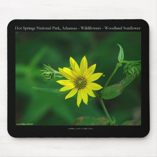 Hot Springs Nationalpark Waldland Sonnenblumengesc Mousepad (Vorne)