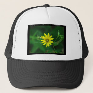 Hot Springs Nationalpark Waldland Sonnenblumengesc Truckerkappe