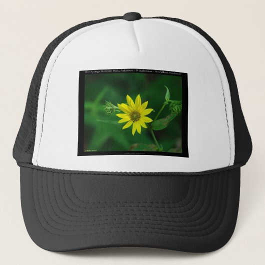 Hot Springs Nationalpark Waldland Sonnenblumengesc Truckerkappe (Vorderseite)