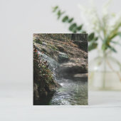 Hot Springs Postcard Postkarte (Stehend Vorderseite)