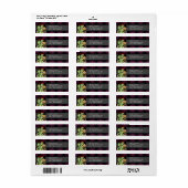 Hot Stuff Lil Dragon und Marshmellow (Vorne)