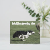 Hotchkiss Sheepdog-Tests Postkarte (Stehend Vorderseite)