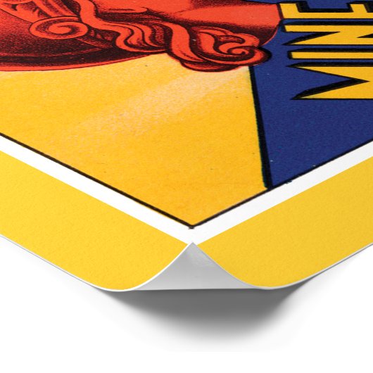 Hotel Minerva Firenze Poster (Ecke)