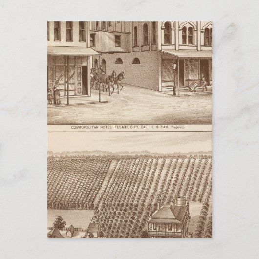 Hotel, Weinberg, Tulare Postkarte (Vorderseite)