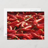 Hotness - Red Hot Chiles Postkarte (Vorne/Hinten)