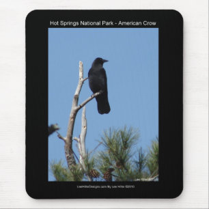 Hots Springs National Park, AR - Amerikanerkrähe Mousepad