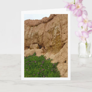 Hottentot Feige, Eispflanze in Canyon Karte