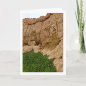 Hottentot Fig. Eisdiele Pflanze in Canyon Card Karte (Vorderseite)