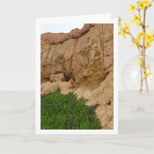 Hottentot Fig. Eisdiele Pflanze in Canyon Card Karte (Gelbe Blume)