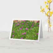 Hottentot Fig. Eisdiele Pflanze in Canyon Card Karte (Gelbe Blume)