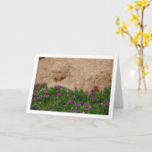 Hottentot Fig. Eisdiele Pflanze in Canyon Card Karte (Gelbe Blume)