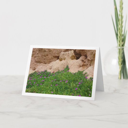 Hottentot Fig. Eisdiele Pflanze in Canyon Card Karte (Vorderseite)