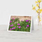 Hottentot Fig. Eisdiele Pflanze in Canyon Card Karte (Gelbe Blume)