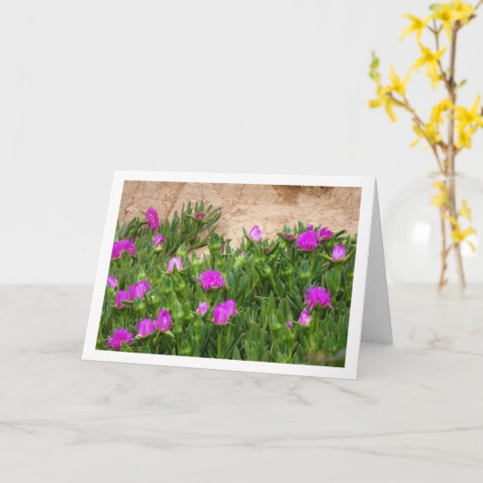 Hottentot Fig. Eisdiele Pflanze in Canyon Card Karte (Gelbe Blume)