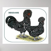 Houdan Chickens Poster (Vorne)