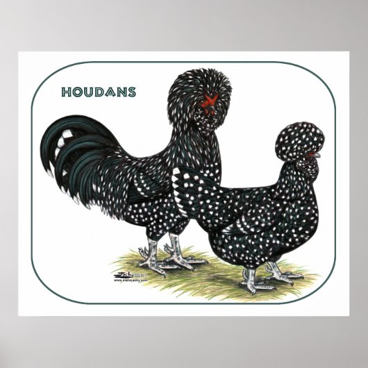 Houdan Chickens Poster (Vorne)