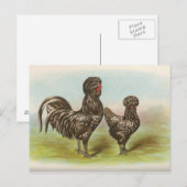 Houdans Postkarte (Vorne/Hinten)