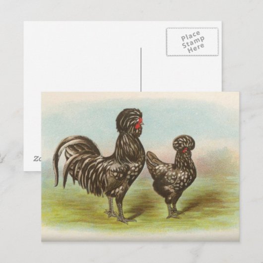 Houdans Postkarte (Vorne/Hinten)