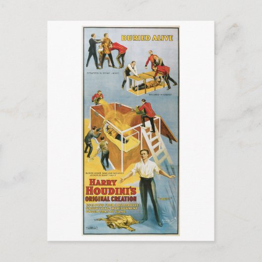 Houdini ~ Buried Alive Vintag Escape Artist Postkarte (Vorderseite)