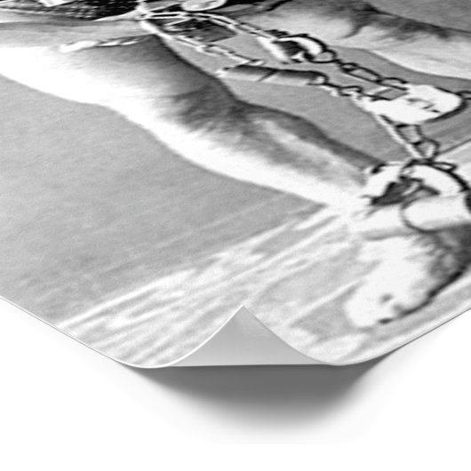 Houdini Vintage Poster (Ecke)