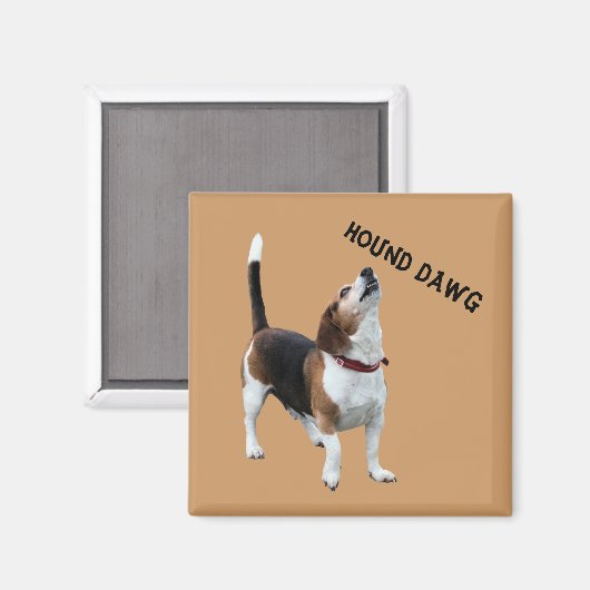 Hound Dawg Beagle Funny Dog Magnet (Vorderseite/Rückseite)