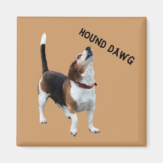 Hound Dawg Beagle Funny Dog Magnet (Vorne)