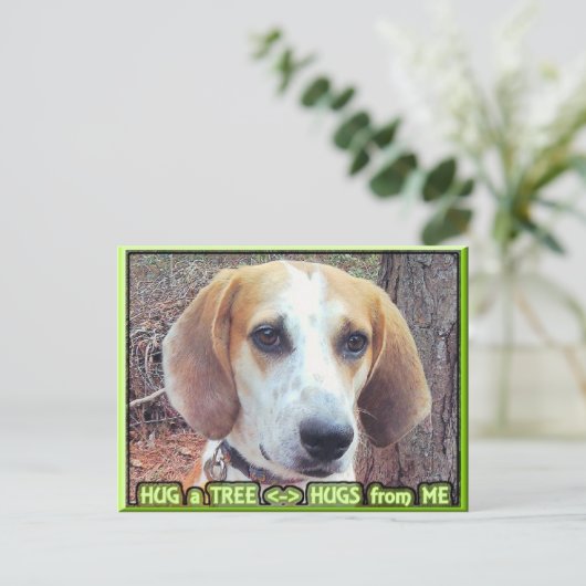 Hound Dog Tree Hugger Postkarte (Stehend Vorderseite)