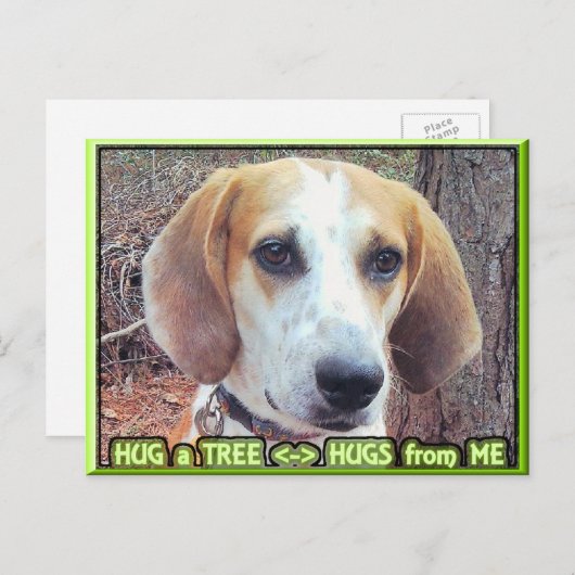 Hound Dog Tree Hugger Postkarte (Vorne/Hinten)