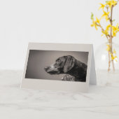 Hounding around card karte (Gelbe Blume)