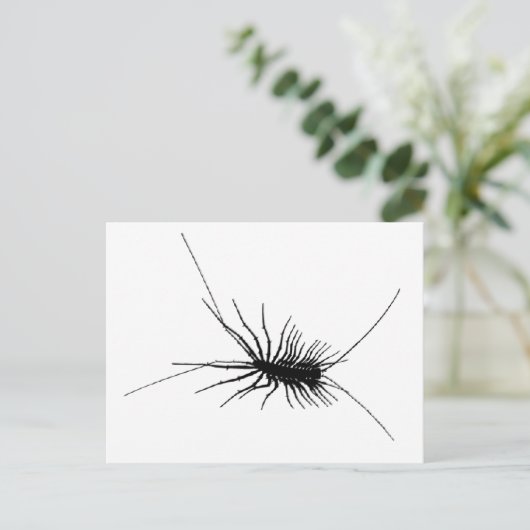 House Centipede Black Beängstigend Bug Insekt Gros Postkarte (Stehend Vorderseite)