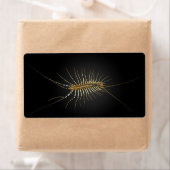 House Centipede Scutigera Coleoptrata (Insitu)