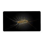 House Centipede Scutigera Coleoptrata (Vorne)