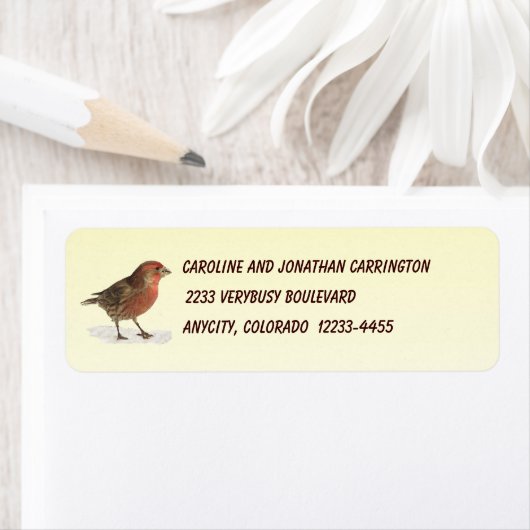 House Finch (Insitu)