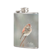 House Finch auf einer Zweigniederlassung Flachmann (Links)