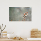 House Finch auf einer Zweigniederlassung Poster (Küche)