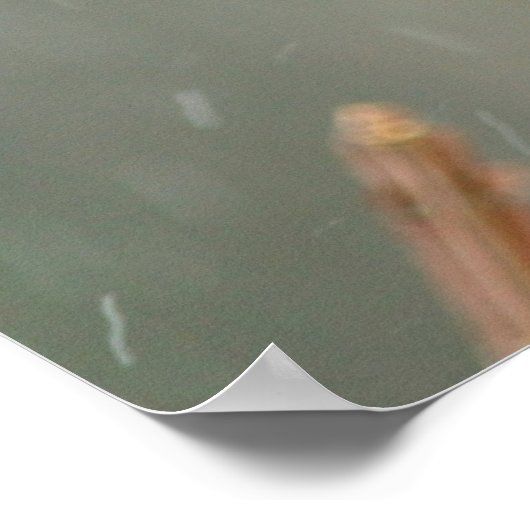 House Finch auf einer Zweigniederlassung Poster (Ecke)