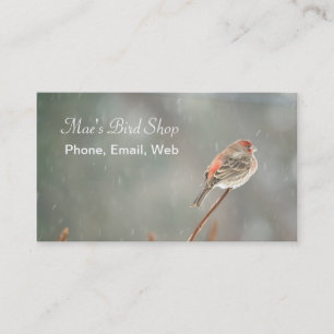 House Finch auf einer Zweigniederlassung Visitenkarte