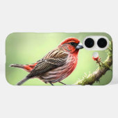 HOUSE FINCH BIRD AVIAN BACKYARD Case-Mate iPhone HÜLLE (Rückseite (Horizontal))