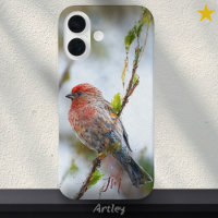 House Finch Bird Painting Individuelle Name