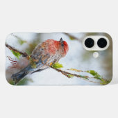 House Finch Bird Painting Individuelle Name Case-Mate iPhone Hülle (Rückseite (Horizontal))