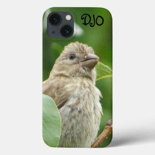 House Finch Bird Personalisiert Case-Mate iPhone Hülle