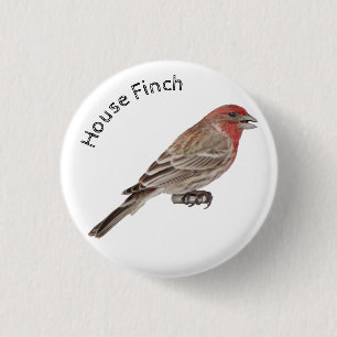 House Finch Button
