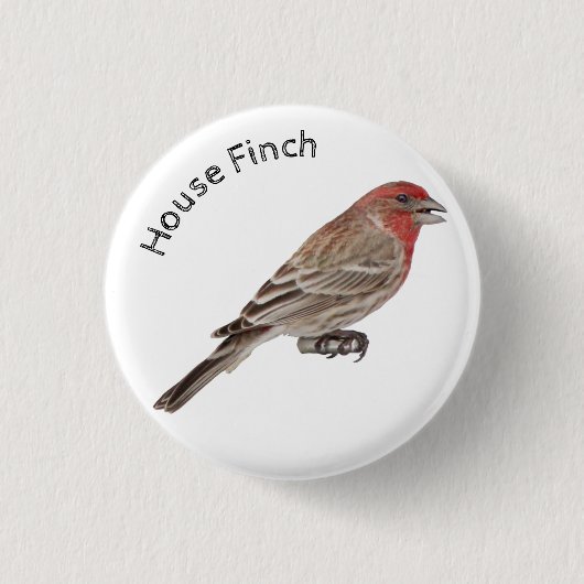 House Finch Button (Vorderseite)
