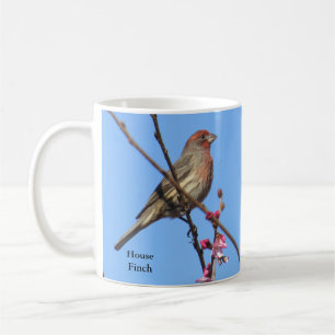 House Finch Coffee Tasse von BirdingCollectibles
