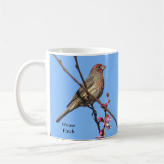 House Finch Coffee Tasse von BirdingCollectibles