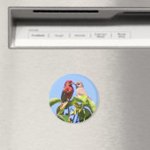 House Finch Couple Magnet (In Situ (Geschirrspüler))