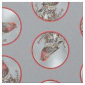 House Finch im Winter Snow Original Foto Stoff (Nahaufnahme)