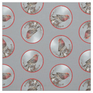 House Finch im Winter Snow Original Foto Stoff